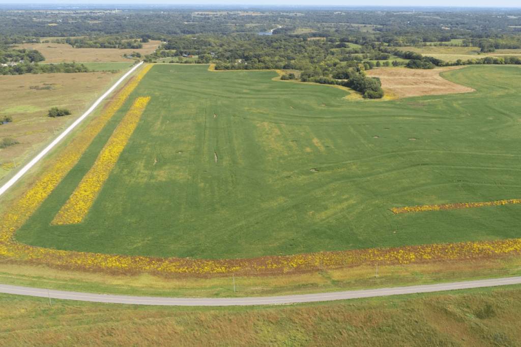 Prairie field with harvested stubble and emerging crop rows illustrating accelerated cropping cycles